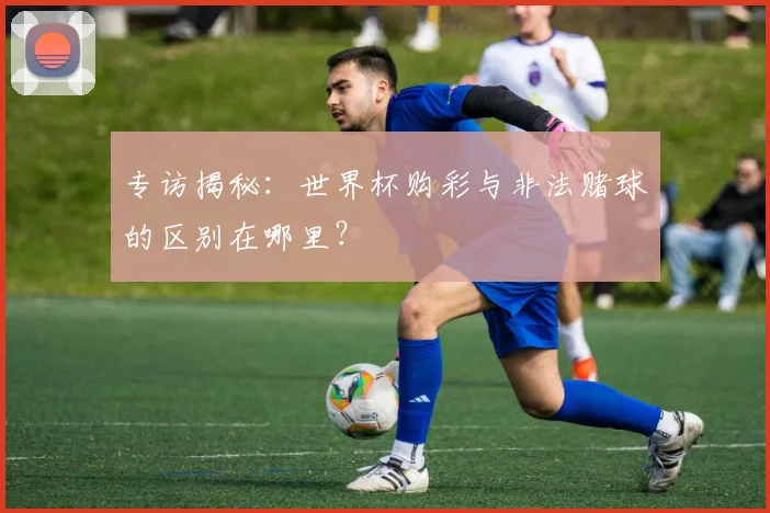 专访揭秘:世界杯购彩与非法赌球的区别在哪里?
