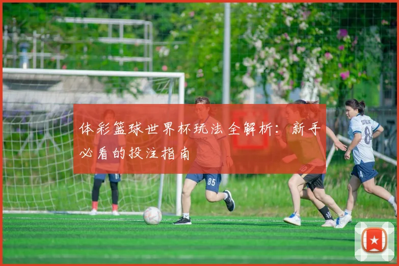 体彩篮球世界杯玩法全解析：新手必看的投注指南