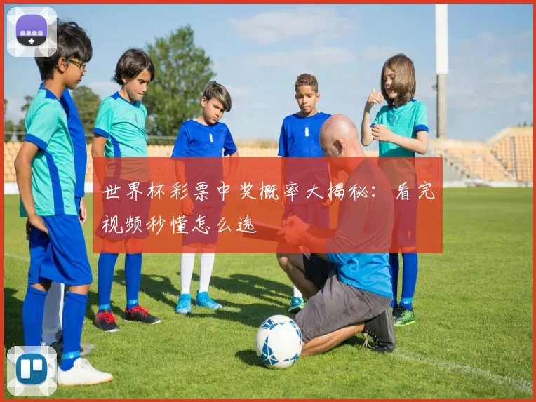 世界杯彩票中奖概率大揭秘：看完视频秒懂怎么选