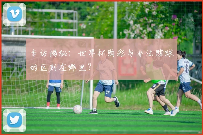 专访揭秘:世界杯购彩与非法赌球的区别在哪里?