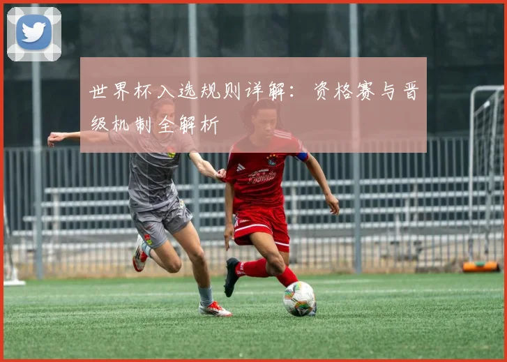 世界杯入选规则详解：资格赛与晋级机制全解析