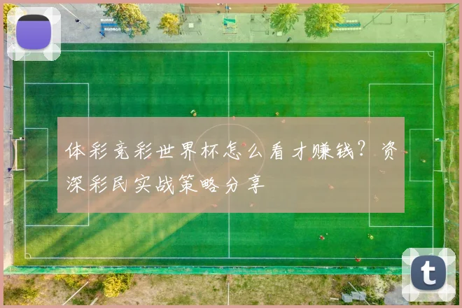 体彩竞彩世界杯怎么看才赚钱？资深彩民实战策略分享