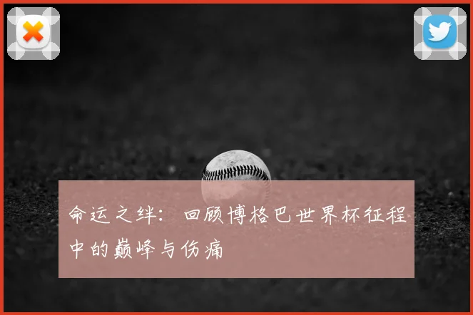 命运之绊：回顾博格巴世界杯征程中的巅峰与伤痛